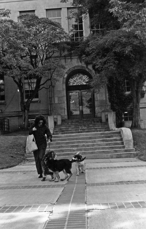 1984 Ackerman School Entrance 08