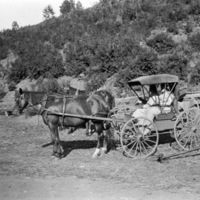 Horses and Carriage 2