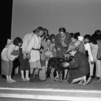 1977 Play, "Teahouse of the August Moon" 09