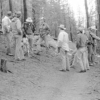 1987 Field Trip, Forest 10
