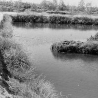 Binmaley Local Fishing 8