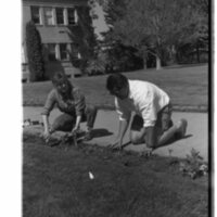 1989 Employees, Planting 21