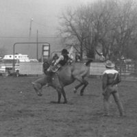 1982 EOSC Rodeo, Bronco Riding 05