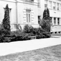1987 Inlow Hall, Bushes 01