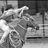 1991 Eastern Rodeo, Roping 09