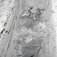 1979 Inlow Hall Grave 16