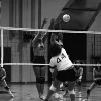 1981 Volleyball Action 36