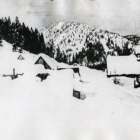 Cornucopia, Winter 1