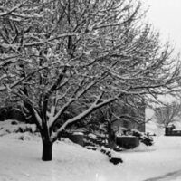 1983 Campus in Winter 03