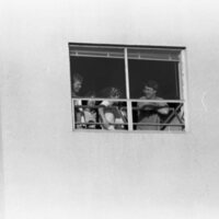 1985 Residence Life, Windows 02