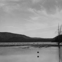 Oregon, Lake 11
