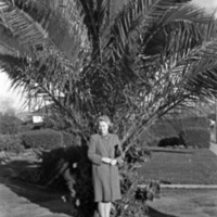 Martha Hill 4