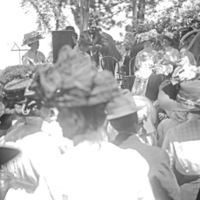 Cove, Cherry Fair Crowd 3