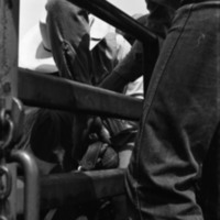 1981 Rodeo, Cowboys in Chute 18