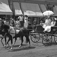 Union Stock Show Parade 10