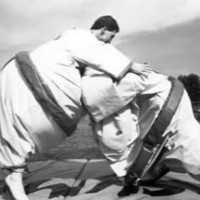80's Students, Sumo Wrestling
