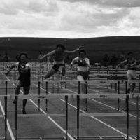 1982 Track, Men's &amp; Women's 100 Hurdles 01