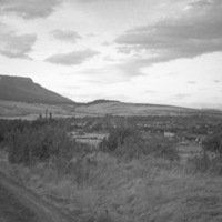 2010.2.3323.jpg