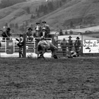 1984 Rodeo Club, Bull Riding 06