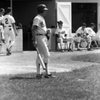 1981 Baseball Action, May 4th 23