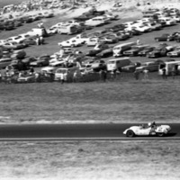 California, Car Races 24