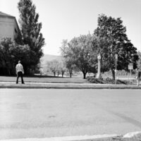 1978 Campus in Spring 05