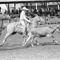 1978 Rodeo, Roping Pairs 04