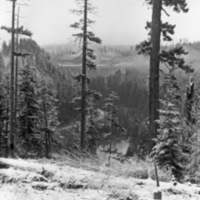 Mt. Rainier, Snow Hike 5