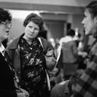 1981 Guests, Education Function 10