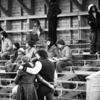 1981-82 Football Fans