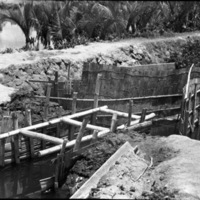 Binmaley, Fish Trap 1