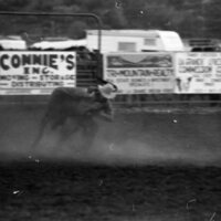 1979 Rodeo, Bulldogging 08