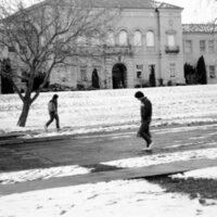 1986 Students, Walking 10