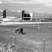 1978 Agriculture, Farm Equipment 10
