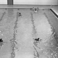 1979 Quinn Swimming Pool 04