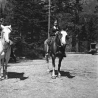 Reuter, Bob - Horse 3