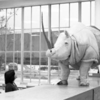 1978 Walter M. Pierce Library, Usage 08
