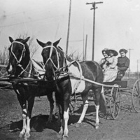 Horses and Carriage 1