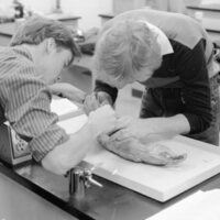 1984 Biology Lab, Dissection 02
