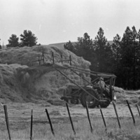 Elgin, Hay Stacking 1