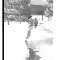 1989 Students, Walking 02