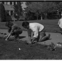 1989 Employees, Planting 22