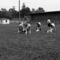 1981 Football, Summer Training 34