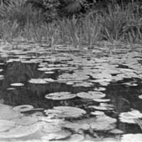 Big Emby Lake 4