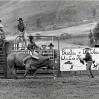 1984 Rodeo Club, Bull Riding 01