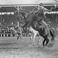 Rodeo, Bucking Bronco 2