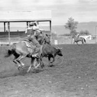 1978 Rodeo, Roping Pairs 01