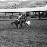 1984 Rodeo Club, Roping Pairs 04