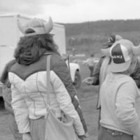 1983 Springfest, Participants 01