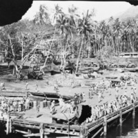 First View of New Guinea
